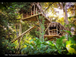 Jungle Treehouse by the Sea